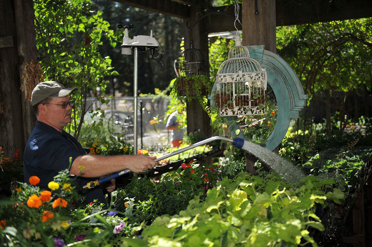 Vantage Vue weather station on mounting pole in garden